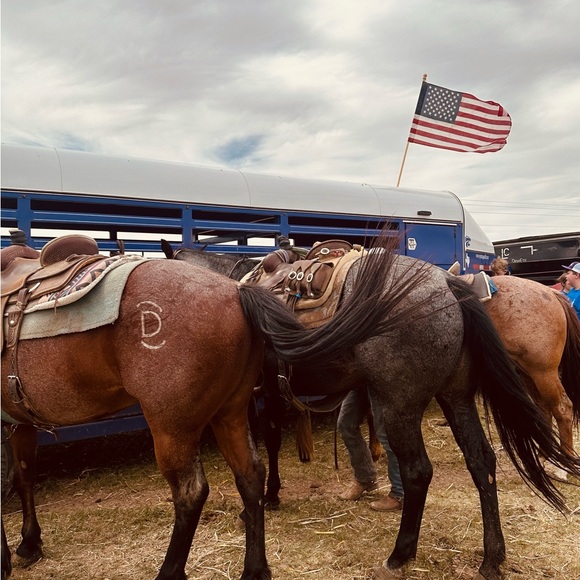 Meet your Posher, Natalie - Picture 1 of 1